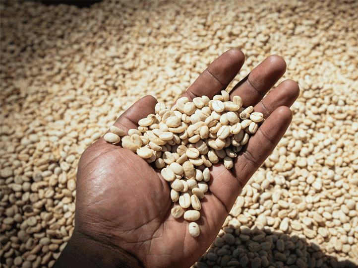 ethiopia coffee washed generic